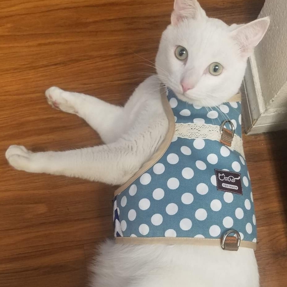 Meet your Posher, Merve - Picture 10 of 14